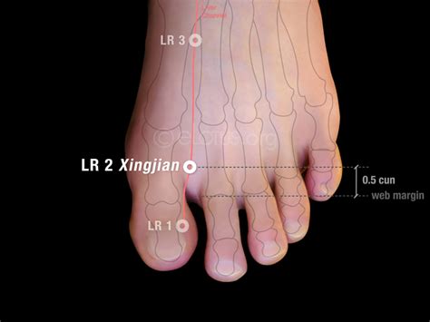 lr 2 acupuncture point